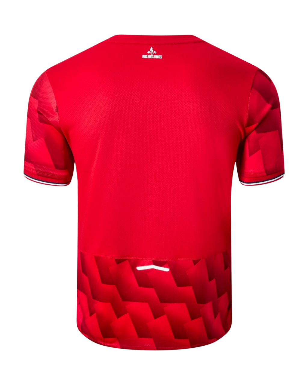 Maillot  Lille LOSC  Domicile 25/26