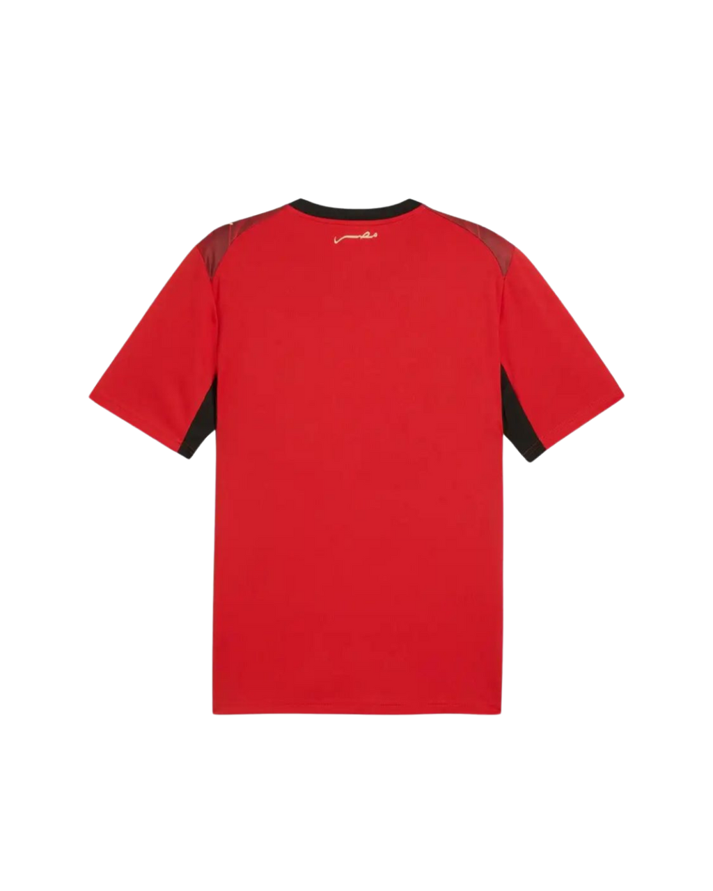 Maillot Egypte Domicile 2026/2027