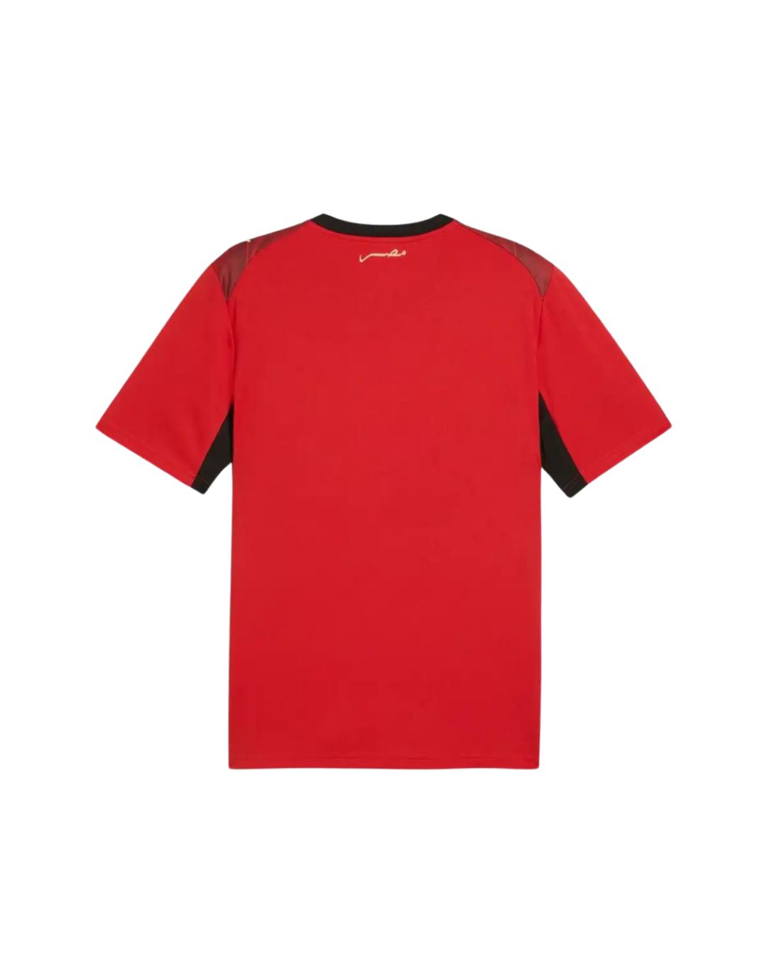 Maillot Egypte Domicile 2026/2027