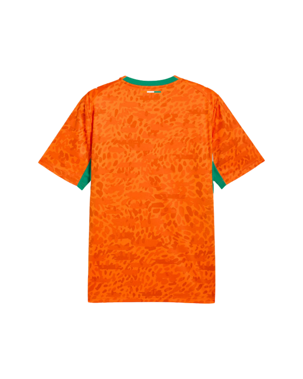 Maillot Côte d'Ivoire Domicile 2026/2027